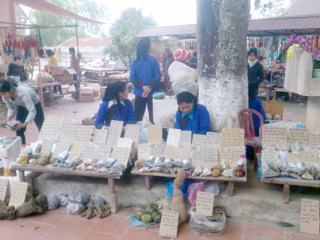 Thuốc không rõ nguồn gốc bày bán tràn lan 1