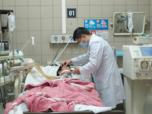Liệt người vì rắn cạp nia 1
