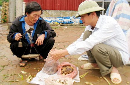 Canh cánh nỗi lo ngộ độc nấm 1