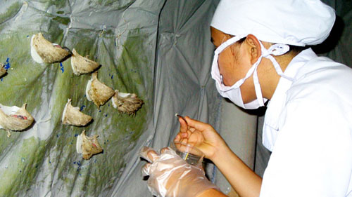 Phòng chống dịch: Không buông lỏng, không nôn nóng! 1