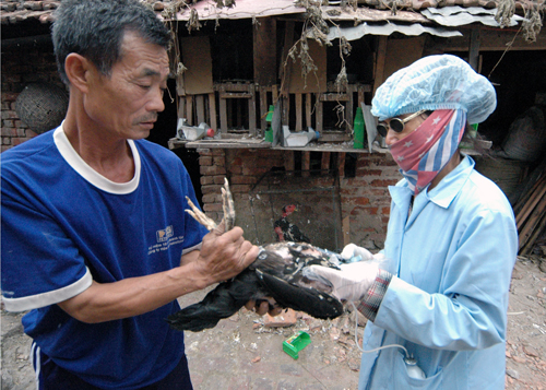 Virut cúm A/H7N9 gây tử vong cho người ở Trung Quốc có gì lạ? 1