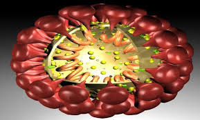 WHO gióng hồi chuông cảnh báo về Coronavirus 1