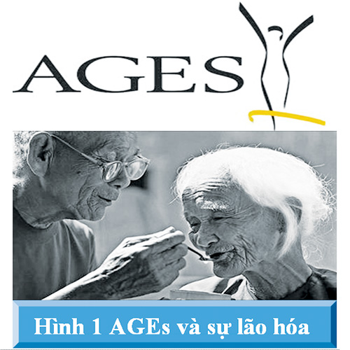 AGEs - gây nhiều bệnh và biến chứng nguy hại cho con người  1