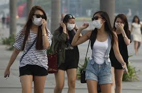 Singapore ô nhiễm nặng vì khói bụi từ Indonesia 2
