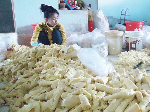 Hóa chất độc hại ngâm măng tươi? 1 Hóa chất độc hại ngâm măng tươi? 1