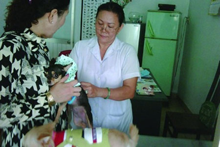 Gia tăng số ca tử vong 1