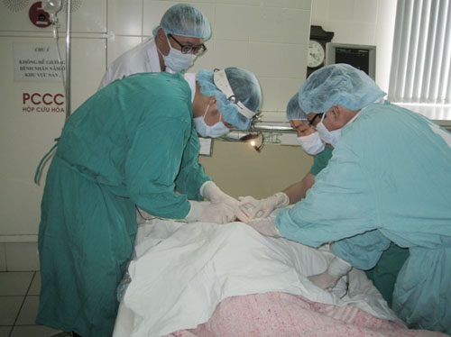 Nơi có những trái tim hồng 1