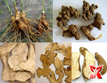Bài thuốc tăng thêm sức yêu cho quý ông 1