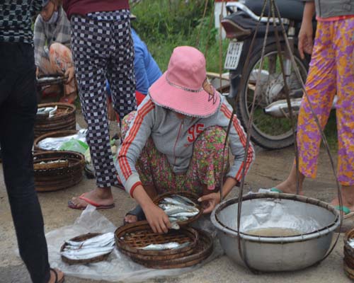 “Công nghệ tái sinh” hải sản bằng hóa chất 1