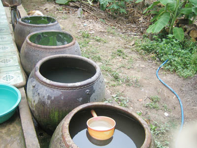 Bình Định: Sốt xuất huyết vẫn phức tạp  1