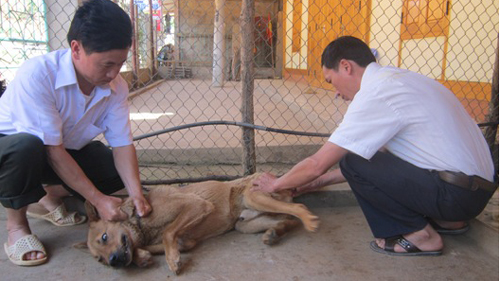 “Chó lạ” tấn công người dân 1