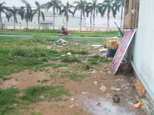Ô nhiễm do nước thải hến 1