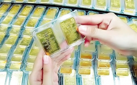 Giá vàng tăng 130.000 đồng/lượng trong ngày đấu thầu 1 Giá vàng tăng 130.000 đồng/lượng trong ngày đấu thầu 1