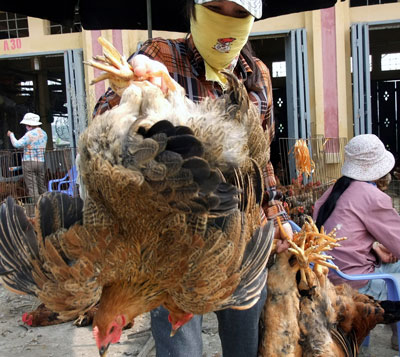 Ngăn chặn tình trạng gia cầm nhập lậu  1