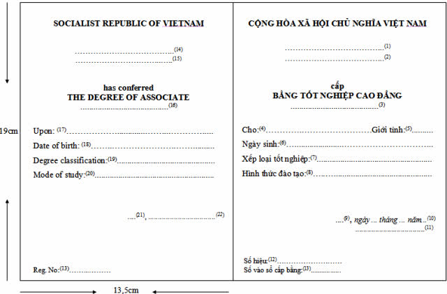 Bộ GDĐT ban hành mẫu bằng tốt nghiệp CĐ, TCCN mới  1