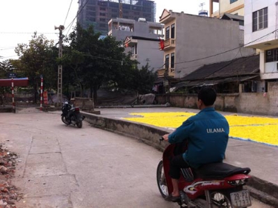 Chủ nợ bị đâm chết khi đòi tiền 1