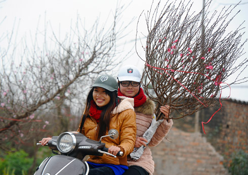 Miền Bắc trở rét trước giao thừa 1