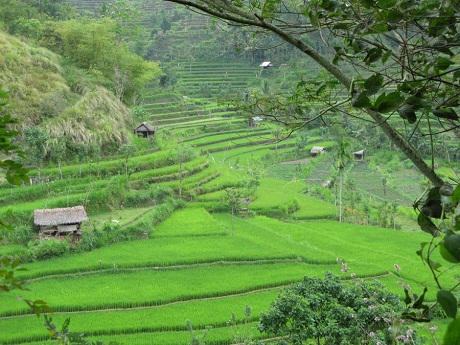 Hạ Long lọt top 100 chuyến đi "nên có trong đời" 4