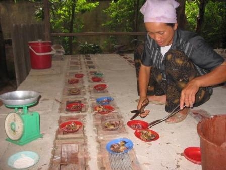 Dựng tóc gáy ở “làng tử thần” 3