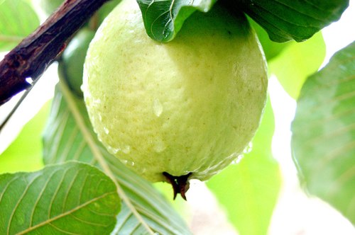 Chế độ ăn tốt cho người rối loạn tiêu hóa 1
