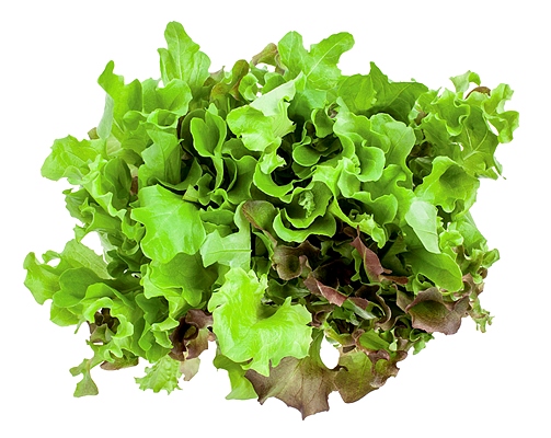 5 thực phẩm có lợi cho mắt 2