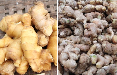 Nhận diện rau củ Trung Quốc  1
