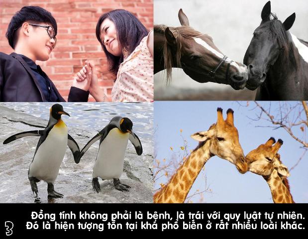 Phát sốt với bộ ảnh đồng tính của Thạc sĩ tâm lý học 4