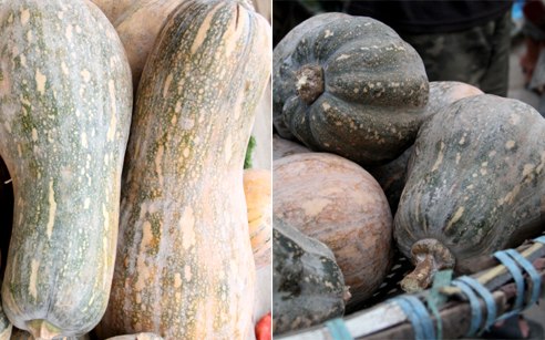 Nhận diện rau củ Trung Quốc  4