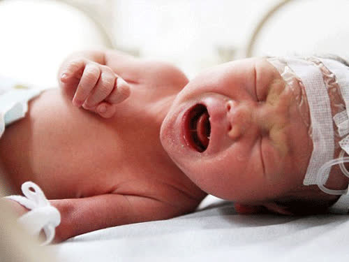 Bé trai bị mẹ nhét vào ống thải phục hồi kỳ diệu 6