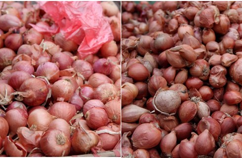 Nhận diện rau củ Trung Quốc  8