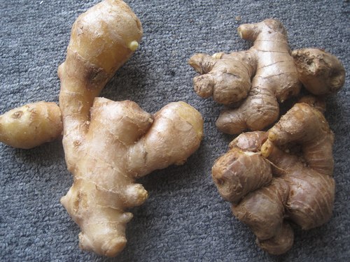 Nhận diện gừng Trung Quốc và Việt Nam 1