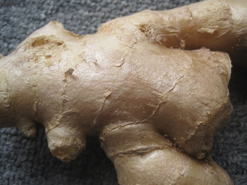Nhận diện gừng Trung Quốc và Việt Nam 3