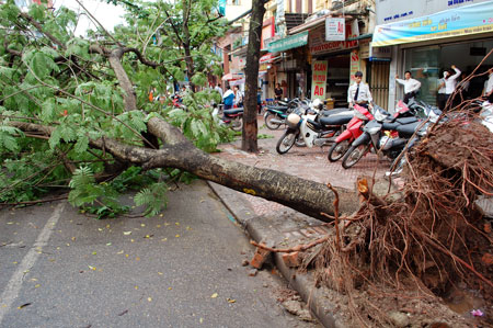 Cảnh báo dông, lốc vì không khí lạnh giữa mùa hè 1