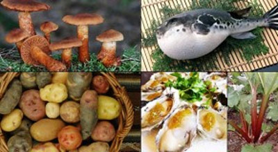 Những loại thực phẩm "chết người" 1