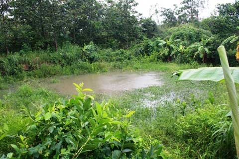 Trớ trêu vụ cắt ‘của quý’ của chồng mang đi 3