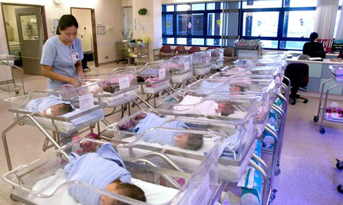 Gái chưa chồng Đài Loan cất trứng 'để dành' 1
