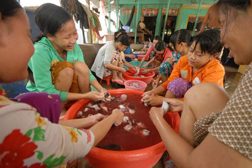 Cận cảnh chợ chuột béo mầm ở miền Tây 11