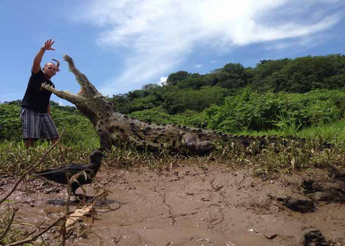 Dùng tay không nhử mồi cá sấu giải trí 5 Dùng tay không nhử mồi cá sấu giải trí 5