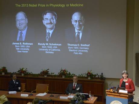 Nobel Y học 2013 góp phần giải mã các bệnh nan y 1