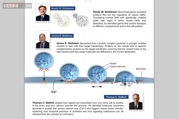 Nobel Y học 2013 góp phần giải mã các bệnh nan y 2