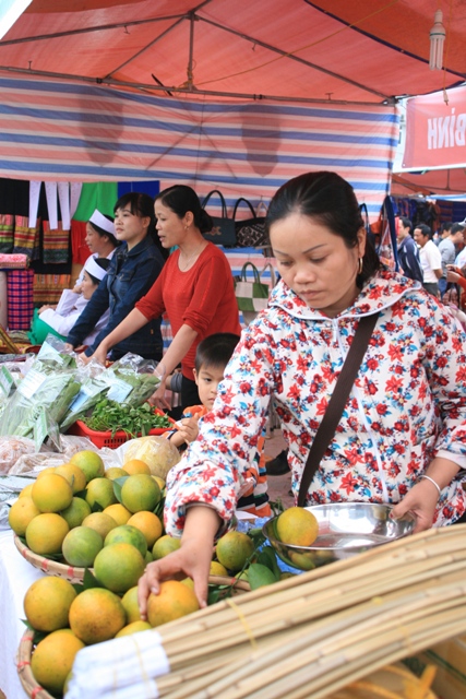 Khai mạc lễ hội văn hóa, thể thao và du lịch dân tộc Tây Bắc 6