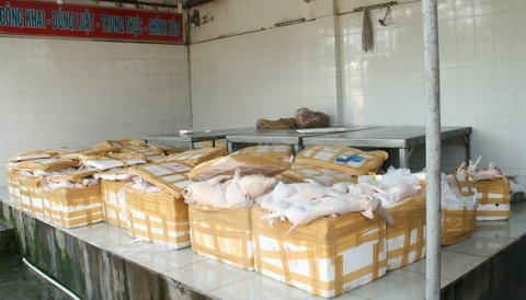 Gần 1,5 tấn heo sữa chưa kiểm dịch 'suýt' vào bàn tiệc 1 Gần 1,5 tấn heo sữa chưa kiểm dịch 'suýt' vào bàn tiệc 1