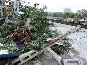 Kỷ luật Giám đốc Sở vì tắc trách khi chống bão 1 Kỷ luật Giám đốc Sở vì tắc trách khi chống bão 1