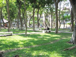 Không khí lạnh suy yếu, cả nước nắng đẹp 1 Không khí lạnh suy yếu, cả nước nắng đẹp 1