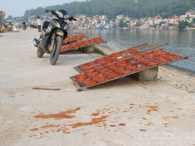 Tận thấy công nghệ chế biến cá khô bẩn 2