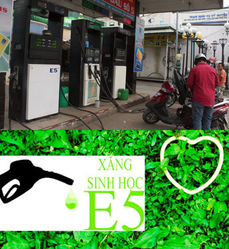 Tiêu thụ xăng E5 trên toàn quốc từ cuối năm 2015 1