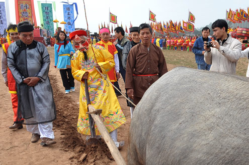 Ông lão 4 lần khoác long bào đi cày 2 Ông lão 4 lần khoác long bào đi cày 2