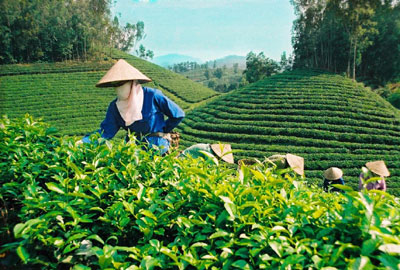 Tự lấy dây buộc mình 1