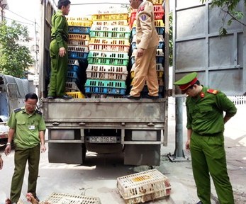 Thủ tướng yêu cầu chấm dứt tình trạng nhập lậu gia cầm  1