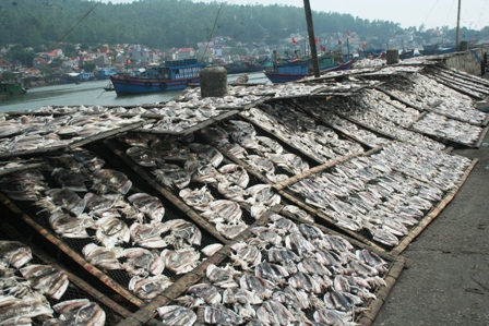 Lưu huỳnh trong cá, mực khô cao gấp hơn 10 lần cho phép 2 Lưu huỳnh trong cá, mực khô cao gấp hơn 10 lần cho phép 2